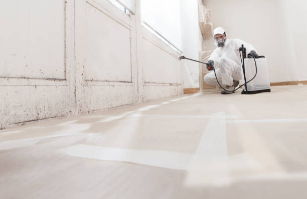 24/7 Emergency Attic Mold Remediation experts in Wenonah, NJ